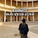 그라나다 알함브라 궁전 입장 오디오가이드 투어라이브 올패스 솔직후기