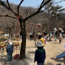 새자연어린이집 이미지