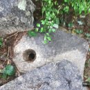 창녕 옥천사지 이미지