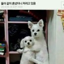없음 이미지