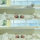 로하 풀빌라 | 부산 광안리 키즈풀빌라 로하풀빌라 애견 동반 숙소