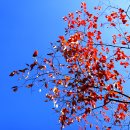 연인산도립공원 용추쉼터 | 가평 트레킹 명소' 용추계곡(九曲) 연인산명품계곡길 도보여행(트레킹) ' 주차장 및 구간코스