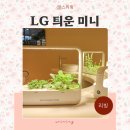 새싹뜰어린이집 | 가정용 식물재배기 엘지 LG 틔운 미니 씨앗키트 수경재배기 리뷰