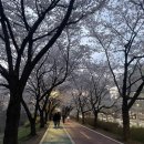 치킨주막강동 - 강동구 성내로14길 18 | 치킨주막강동