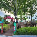 충주대소원초등학교 | 충주 &#39;어린이 숲 놀이터&#39; 아이와 가볼만한 여행지 추천 놀이터 총정리 3곳
