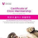꿈꾸는동물병원 이미지