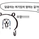 (주)자연스레 이미지