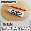 어금니칫솔과 진짜민트치약 [프레민트 치약, 칫솔] 후기
