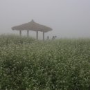 공음농장 이미지