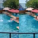 돌고래카 이미지