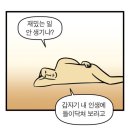 미녀PC방 | 🍁가을은 식욕의 계절🐽