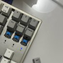 도이프네일