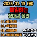 현대모비스노동조합 | 2025.01.13 (월) 마감시황 특징테마 급등주 대장주 신고가