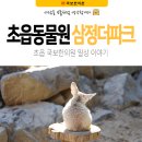 오티시이즈오피스텔 | 부산 초읍동물원 삼정더파크 다녀왔어요