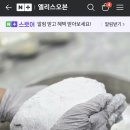 엘리스오븐 이미지