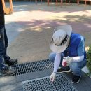 일산동구 이미지