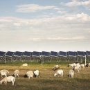 SW 태양광발전소 이미지