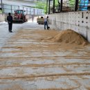 안남축산 이미지