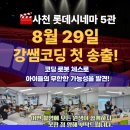 동성초 앞 이미지