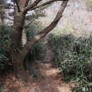등산·신발