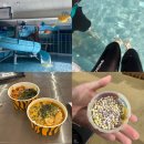 스파밸리 | 대구 워터파크 스파밸리 겨울 온천수 다녀온 후기 | 입장료 할인, 간식