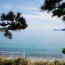 마소마레 이미지