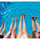 처음처럼 애견펜션 이미지