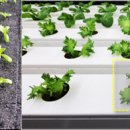 김기수 농장 이미지