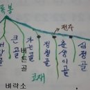 외야골 이미지