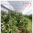 종하농장 이미지