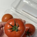 토마토애드 | [애드스윗]스테비아 망고향 완숙토마토 1kg 내돈내산 솔직후기