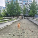올림픽선수촌아파트(231동) 이미지