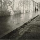 도라(Dora) 이미지