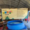 국화리팜랜드 이미지