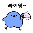 24 에스티(st)