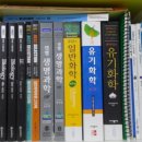 박선우기타