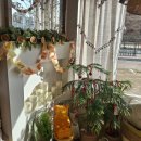 반곡동_국토연구원앞 | 세종반곡동카페 오렌지 칠, 따뜻한 감성 가득한 동네카페