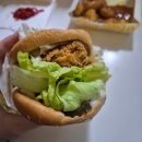 데브드래곤 | [11월 일상]-퇴사 후 나의 개 버러지 일상