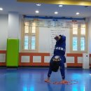 성실태권도 체육관 이미지