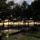 청주종합경기장 이미지