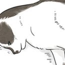 소풍104