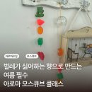 [여름 출강 추천] 독하지 않고 은은한 포멜로 아로마 모스큐브 클래스 인테리어 풍경 도어벨