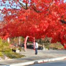 함주공원(예술회관옆)공중화장실 | 함안 함주공원