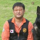 필애견훈련학교 이미지