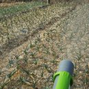 김명복농장 이미지