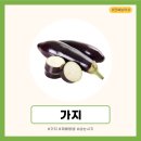 고려농약사 이미지