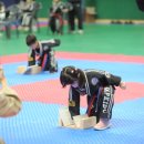 합기도 천하관 이미지