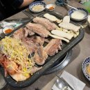 지킴약국 | [대외활동]지킴컴퍼니 대학생 서포터즈ㅣ지대로 5기 발대식 후기