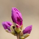 맛 찬꾸러미 이미지