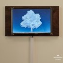 익명동물2005-식 | <오아르미술관 소장품 기획전: 잠시 더 행복하다> 우양미술관 Gallery 2. ①